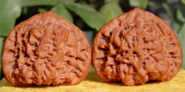 官帽文玩核桃不等于王勇官帽_搜狐网