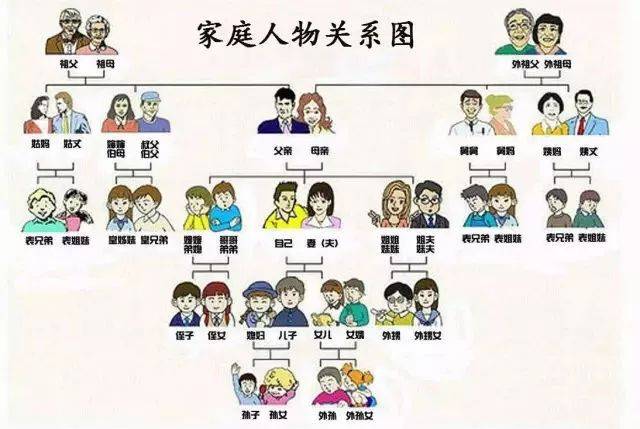 家庭成员关系的英语表达,用这张图展现得清清楚楚.