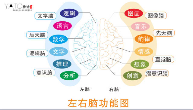 1小时记住200单词的秘密右脑高效记忆法