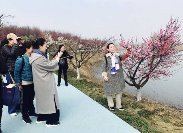 泗洪洪泽湖湿地梅花节"亮点"在此,快盘它!