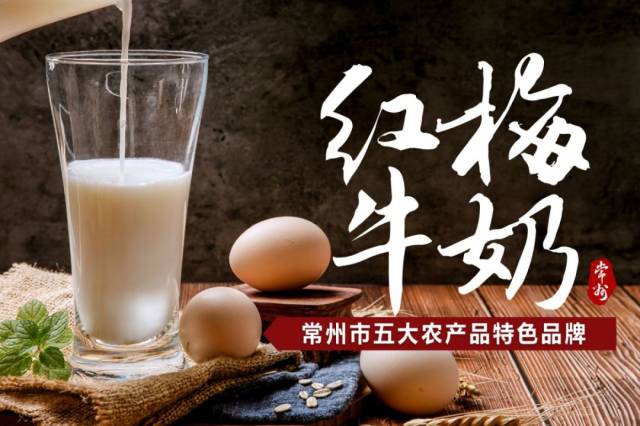 在常州,有一种情怀叫红梅牛奶