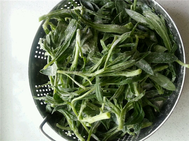 农村这个草,民间称为"面条菜",城里人不认识,价值珍贵