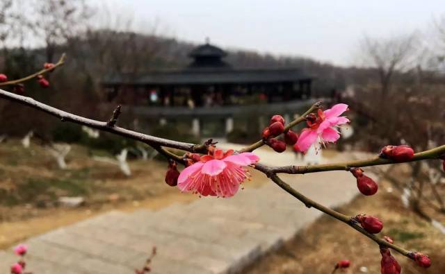 第105波镜看淮南,最美风景随手拍摄影作品展示