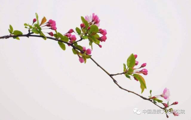 金庸诞辰日,一个情字一江湖,陪伴了多少人的童