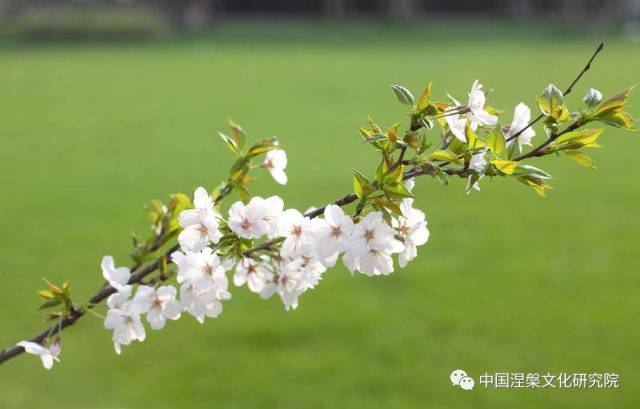 金庸诞辰日,一个情字一江湖,陪伴了多少人的童