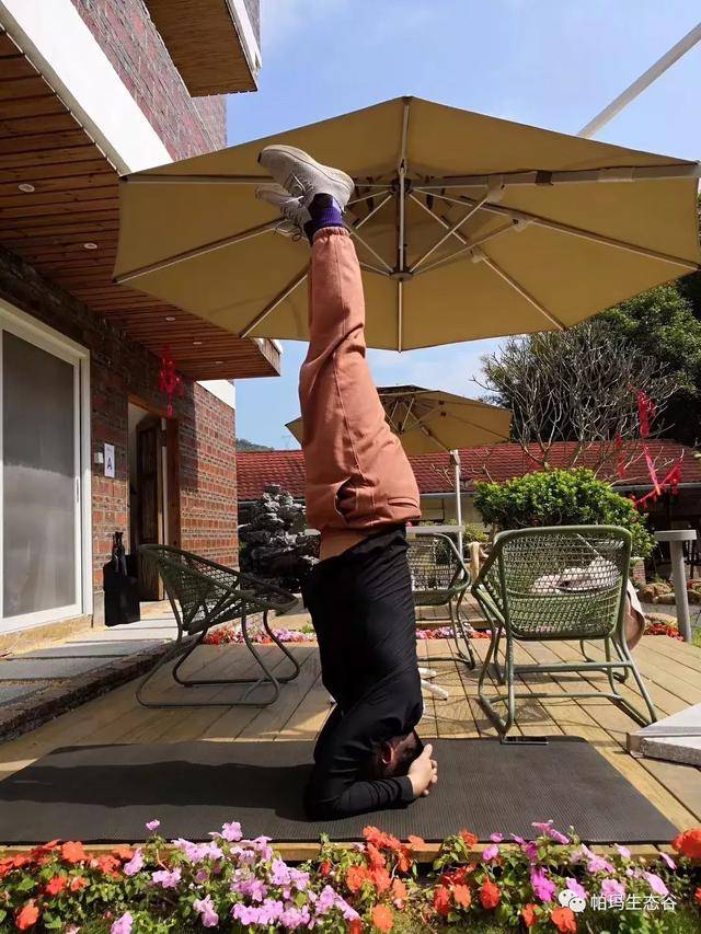 帕玛生态谷:一次计划外的度假,一份出乎意料的收获