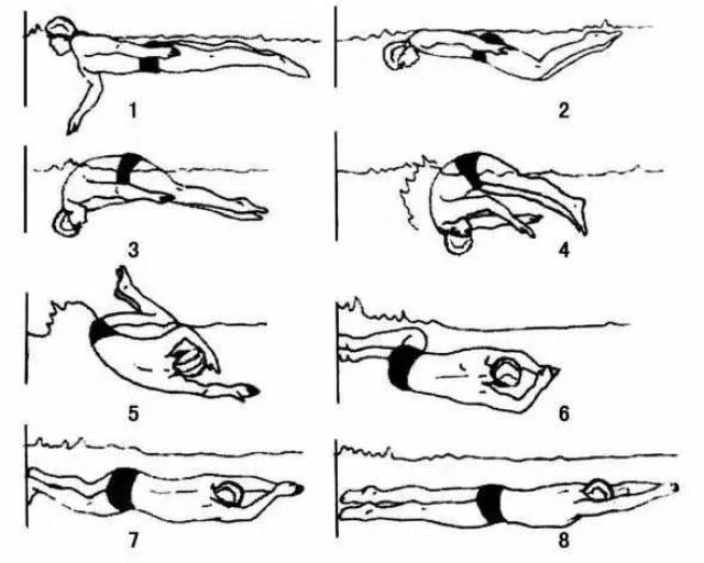 游泳出发入水动作图解图片