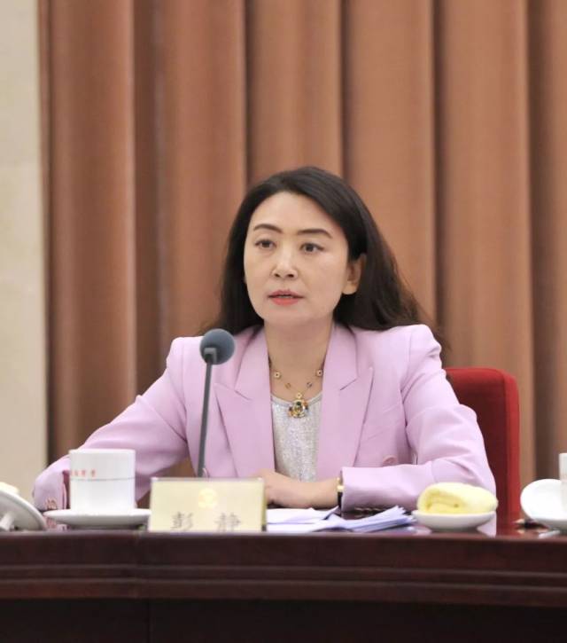 【两会】彭静:强化app分类监管 保障青少年网络安全