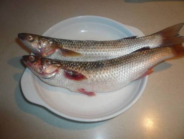 可能有一半你都不认识!