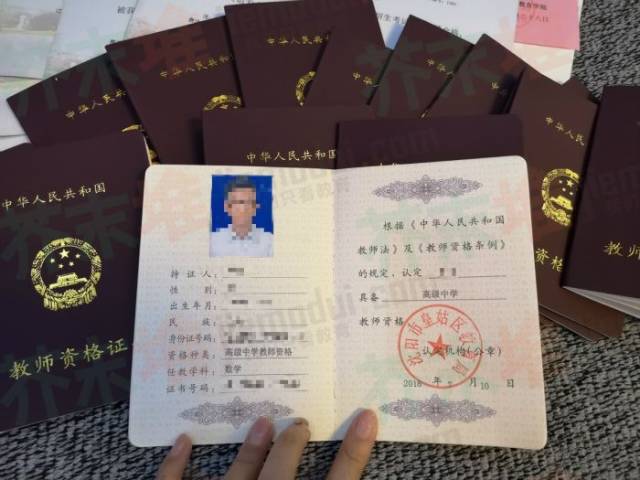 "芥末堆多次询问"办过多少证",杨璐都未正面回答,以"没多少