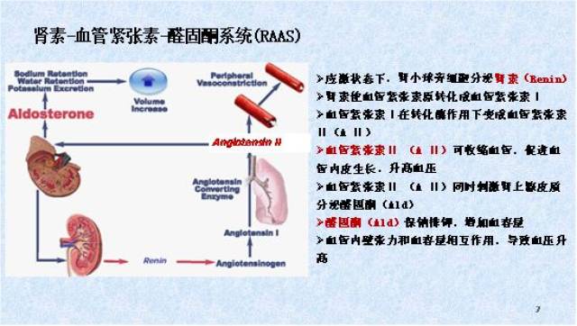 市二院专家解读高血压检测项目临床应用