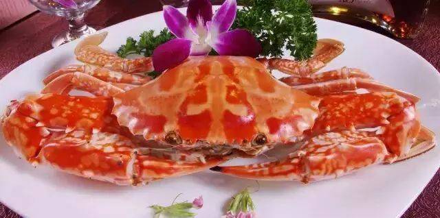 徐闻老渔民整理的海鲜大全!可能有一半你都不认识!