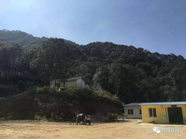 探秘海丰莲花古庵飞瓦寺