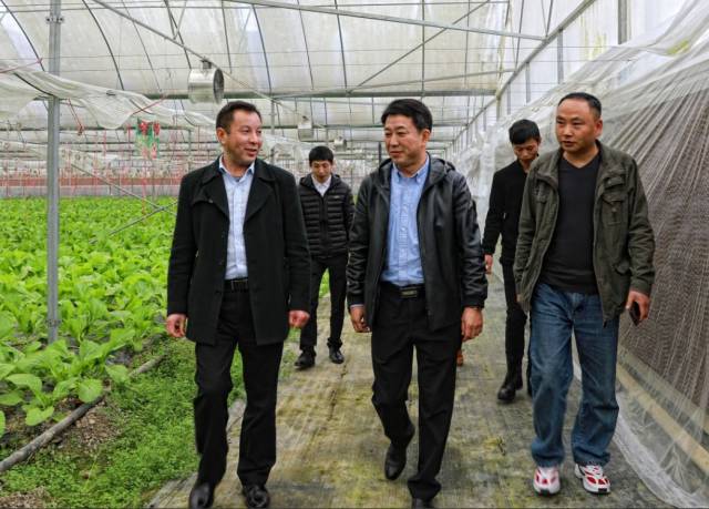 县委书记李晓梦到风华调研