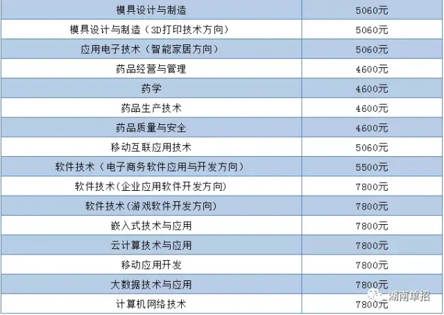 衡阳软件公司的创新与挑战