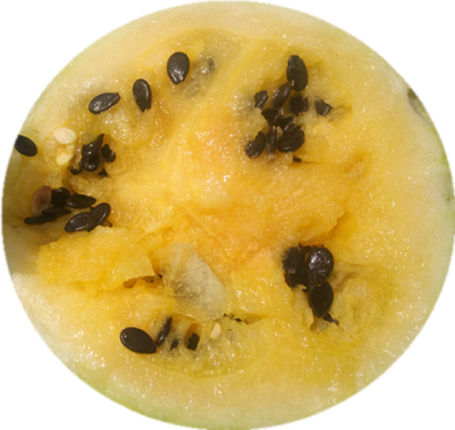 米瓜,舌尖上的贵族