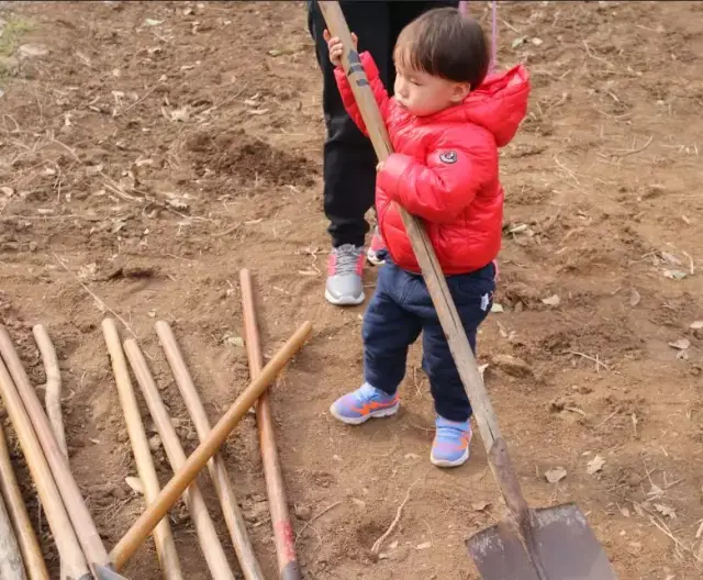 在浮戏山山间田野 种下你的春天