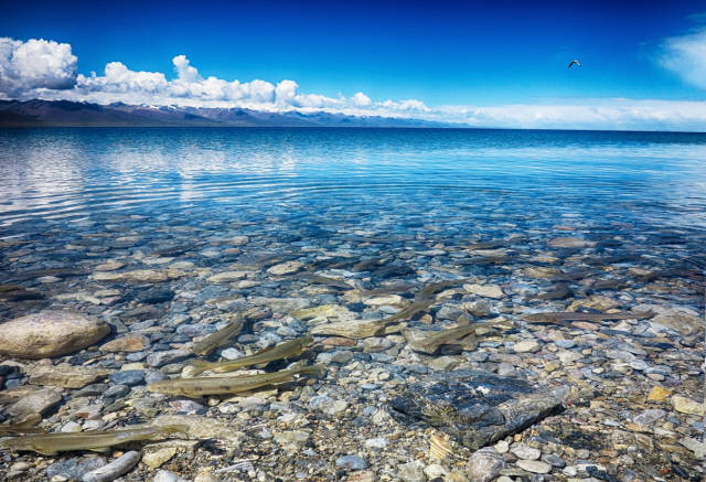 纳木错湖是西藏第二大湖泊,中国第三大咸水湖,也是世界上海拔最高的
