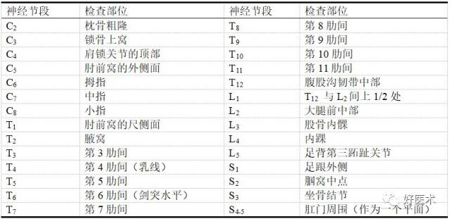 椎体对应体表标志图片