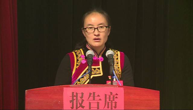 在热烈的掌声中,李雪涛代表县第十二届人民政府向大会作政府工作报告.
