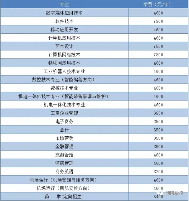 湖南软件开发：技术与梦想的交融