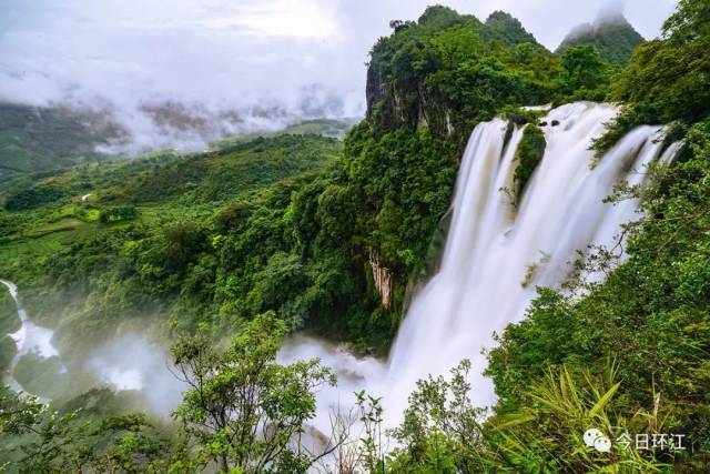 告示:环江明伦镇首届李花节因花期原因将延期举办!