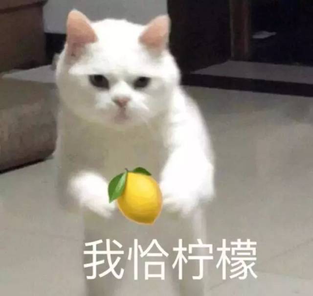 你是怎么应对柠檬精的?