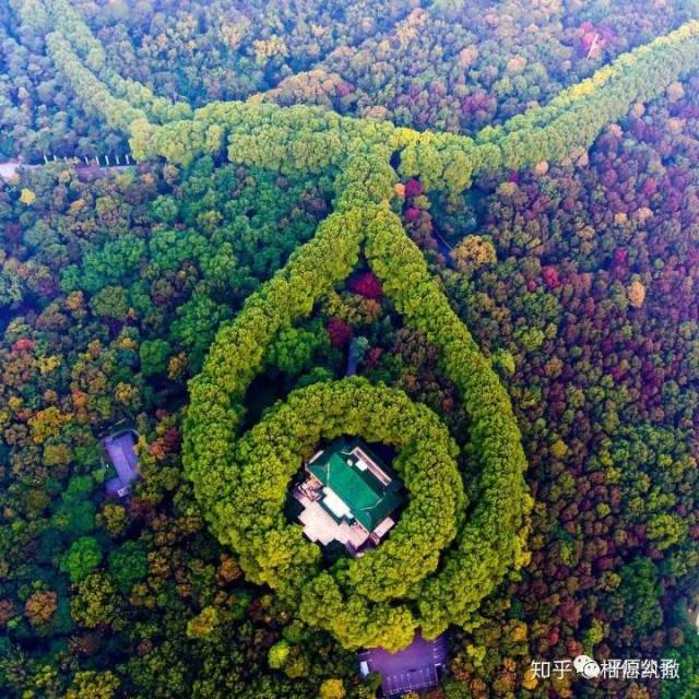 9102年了,你还把蒋介石当偶像?