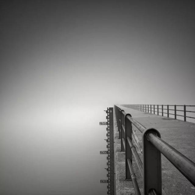 极简唯美的黑白树景,充满了荒凉的美感