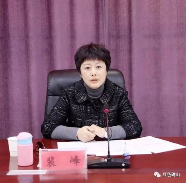 市应急管理局副局长裴峰,县政府副县长杨卫军及市考评组成员各相关