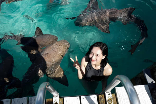 秋雅再次上演出水芙蓉不过这次秋雅身边多了很多小伙伴