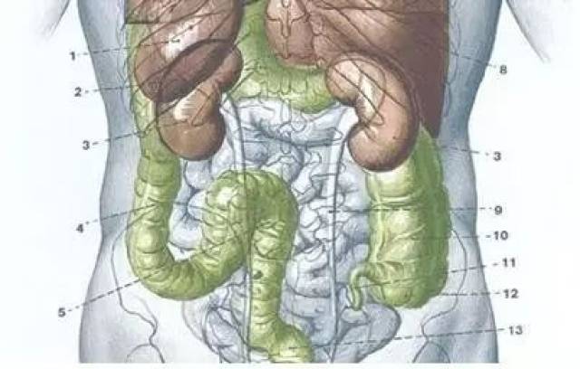 肠结核位置图片