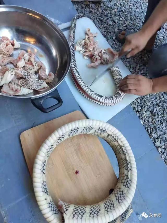 【疯抢】48元抢原价68元的土鸡蛇汤一份/虎奶海底椰润肺汤18元/包