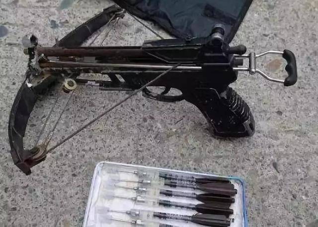 你嘴里的猫狗肉究竟从何而来?