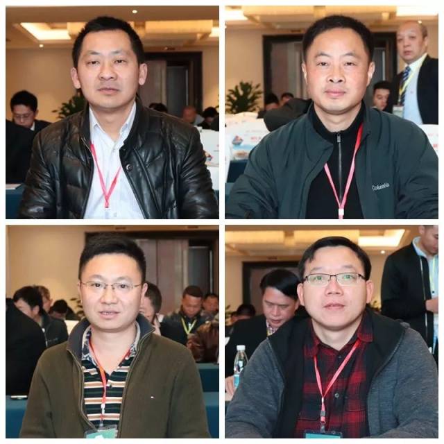 陈梅简历1982的简单介绍