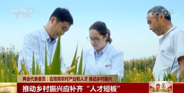沈阳市副市长,全国政协委员姜军认为,应该针对培养新型的职业农民