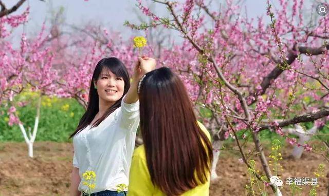 走进在线征婚：渠县的故事