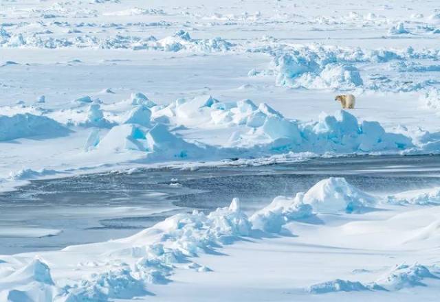 北极点旅游攻略