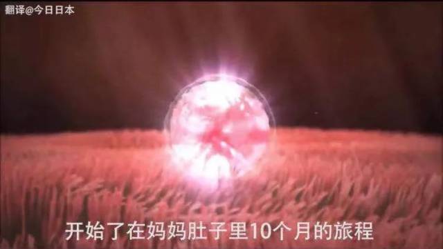 日本一性教育视频火遍网络,剧情画风超治愈,让