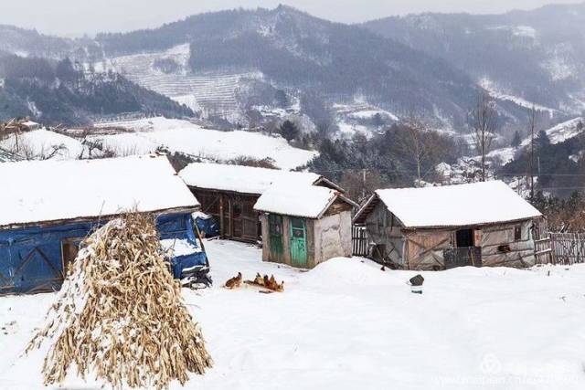 看了这组画面,你一定有想去这个东北小山村看一看的冲动