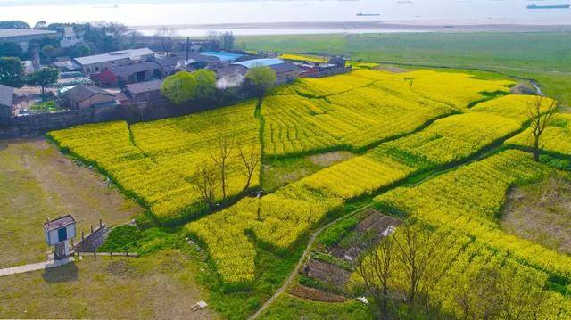 樅陽鎮五一村(g347樅陽段相國大橋附近,黃石公路荷葉田田農莊段沿線)