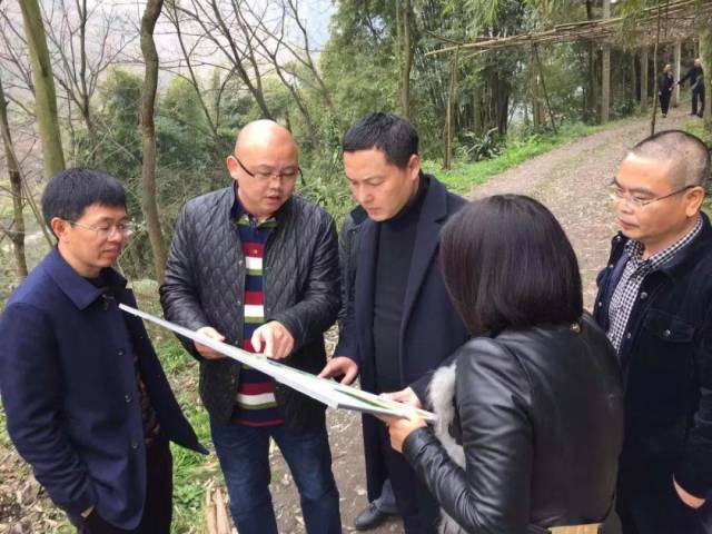 副市长谢建平带队到乐都镇调研乡村振兴工作