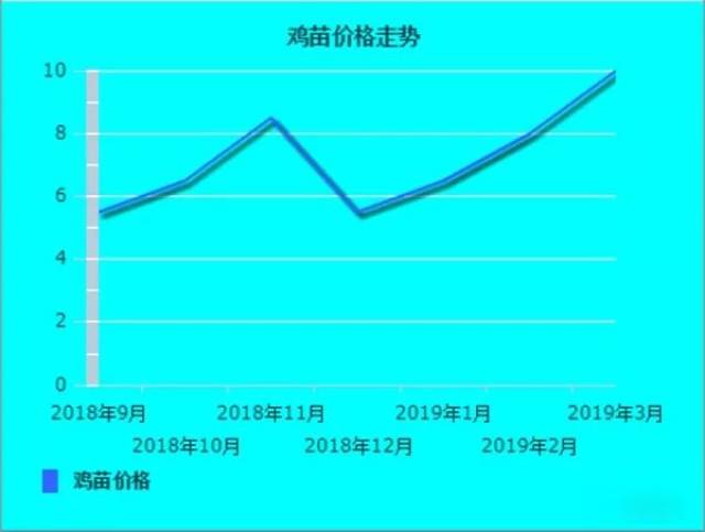 行情‖白羽肉鸡市场鸡价高涨至10元,苗价冲向10元,你敢进么?