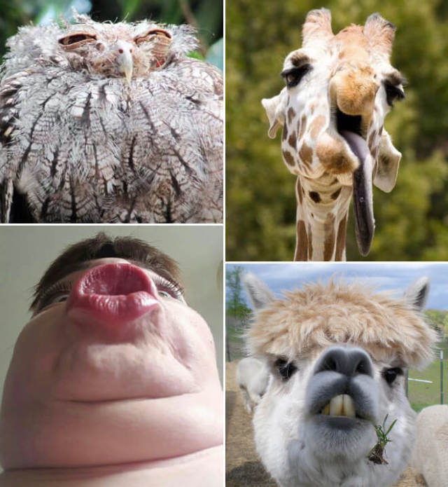 6. 相似之处令人震惊,绝对震惊!