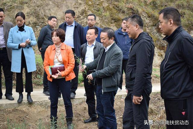 洋县产业脱贫观摩走进黄家营镇