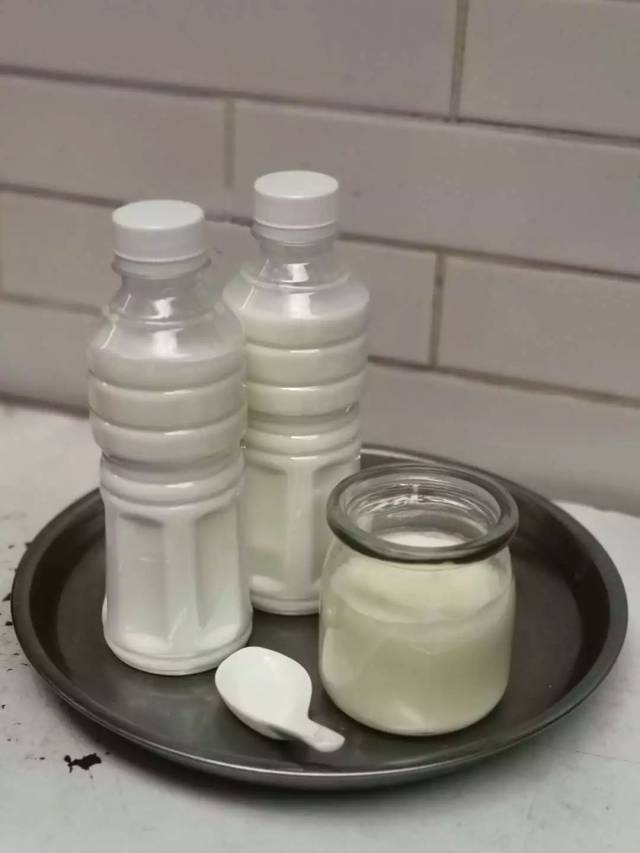 每一桶水牛奶都在顺德被安排的明明白白
