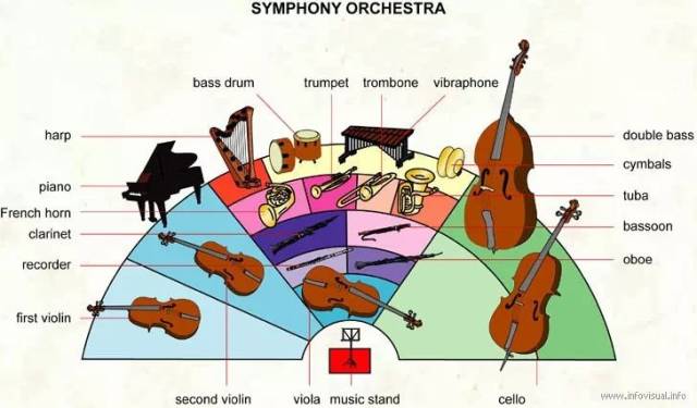 【悦趣课堂】乐团建设:带你认识交响乐团所有乐器 