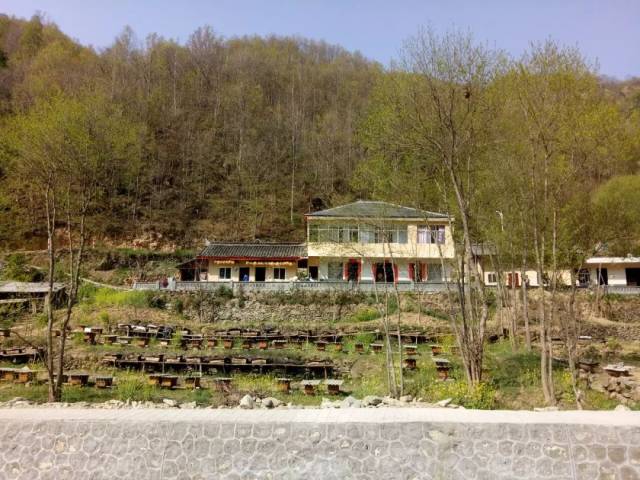 【康县白杨镇】兄弟乡镇相互交流 切磋取经共同提升_手机搜狐网