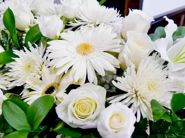 新 | 前移民部长:受害者家属自动获PR;穆斯林学