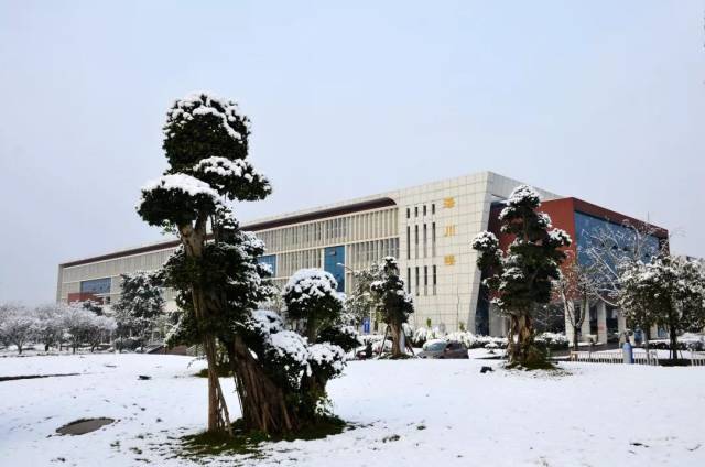 西南医科大学校歌《忠山红日》首发!